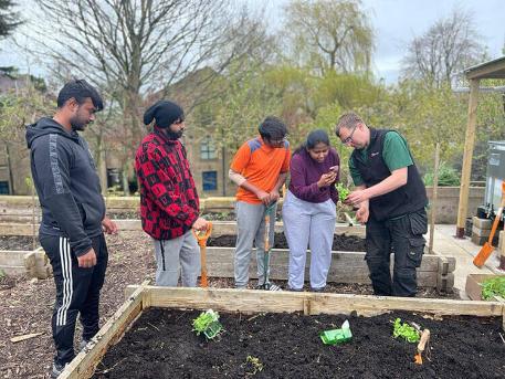 Students planting tomatoes in allotment