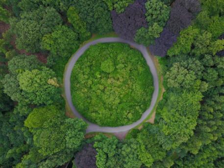 Green forest shown from above with roundabout to depict the abstract of circular economy